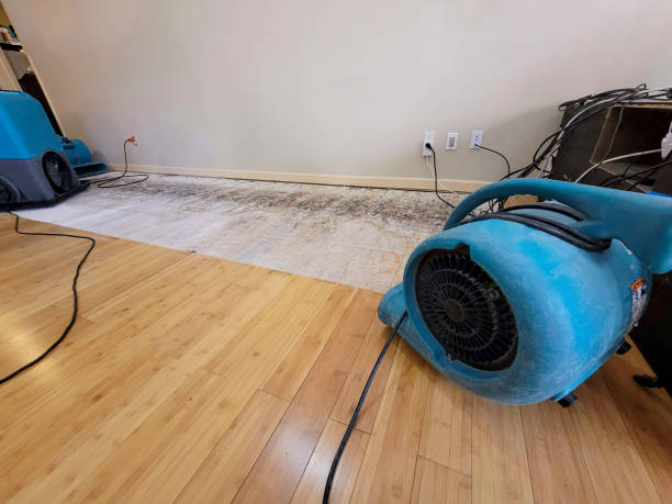 Professional Structural Drying technician working in Brigham City, UT